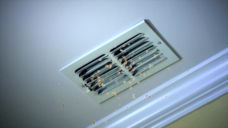 Best Air Duct Mold Removal  in Garden Grove, FL