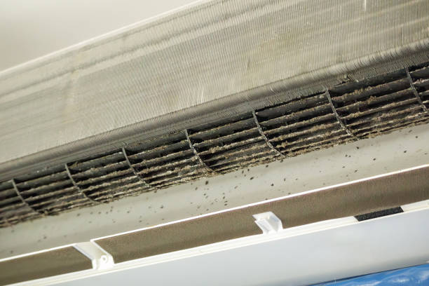 Best Air Duct Cleaning Near Me in FL